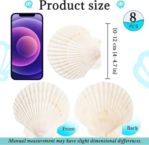 8 قطع من أصداف البطلينوس للحرف اليدوية، 4 ''-5'' أصداف صدفية طبيعية، صدف كبير للحرف اليدوية، الحفلات ذات الطابع الشخصي وديكور المنزل in Kuwait