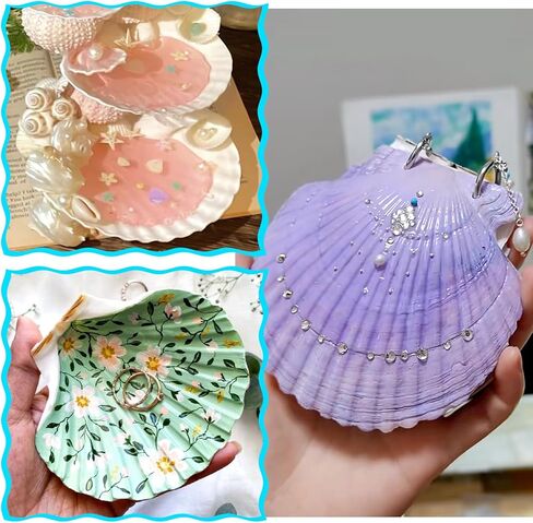 8 قطع من أصداف البطلينوس للحرف اليدوية، 4 ''-5'' أصداف صدفية طبيعية، صدف كبير للحرف اليدوية، الحفلات ذات الطابع الشخصي وديكور المنزل in Kuwait