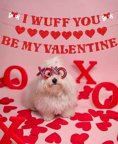 عيد الحب راية إكليل، مجموعة من 3 زينة عيد الحب اللامعة أكاليل القلب الأحمر، زينة عيد الحب للكلاب للمنزل في الهواء الطلق ديكور الذكرى السنوية لعيد الحب in Kuwait