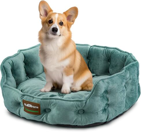 سرير كلاب للقطط من ClevaHome للحيوانات الأليفة الصغيرة التي يصل وزنها إلى 15 رطلاً - أسرّة مستديرة للقطط للقطط الداخلية، سرير مريح للحيوانات الأليفة قابل للغسل في الغسالة للجرو والقطط مع قاعدة غير قابلة للانزلاق (أخضر مغسول) in Kuwait