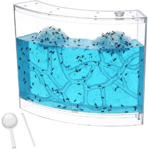 Ant Farm Terrarium Kit Giant Ant Farm Large Viewing Area Care for Live Ants Nature Learning DIY Kit Great Gift(Classic Style,Blue) in Kuwait
