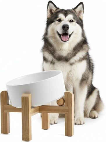 hjn Elevated Ceramic Dog Bowl 15°Slanted Raised Dog Bowl with Bamboo Stand for Small Medium Dogs and Cats, Pet Feeder -3.6-Cup (850ml)-Marble Gray in Saudi Arabia