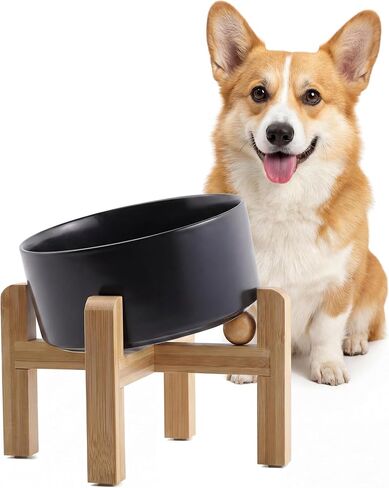 hjn Elevated Ceramic Dog Bowl 15°Slanted Raised Dog Bowl with Bamboo Stand for Small Medium Dogs and Cats, Pet Feeder -3.6-Cup (850ml)-Marble Gray in Saudi Arabia