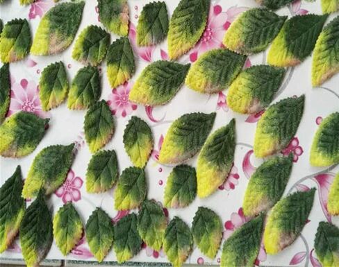 20pcs Fake Fabric Leaves Gradient Green 2-Faced Velvet Leaf Appliques Craft Artificial Leaves for Scrapbook Craft Project Wedding Party Decoration (4.5cm/1.77inches) in Saudi Arabia
