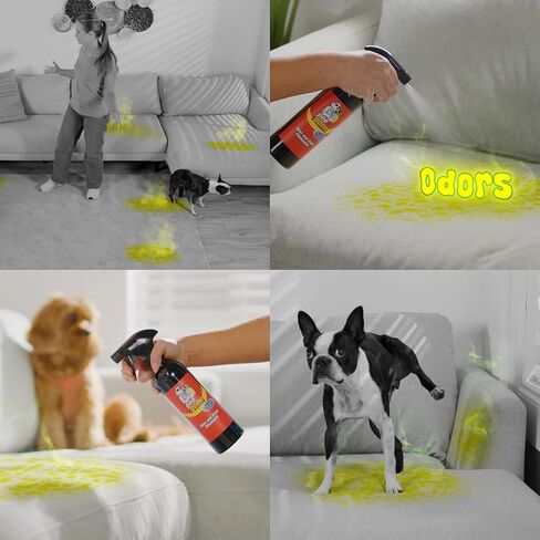 Pet Stain & Odor Eliminator, Multi-Surface Enzyme Cleaner Spray for Home, Carpet Stain Remover for Dog & Cat Urine Destroyer, Dog Pee Cleaner Deodorizer, 16oz Spray Bottle & Mitt in Saudi Arabia