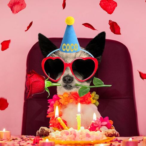 12Pcs Mini Party Hats for Stuffed Animals,Colorful Tiny Birthday Hats Dolls Cats Dolls Rabbits Puppies Cone Assorted Animal Games Accessories Decorations in Saudi Arabia