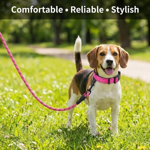 Dog Leash and Collar Set – 6 FT Strong Rope Leash with Padded Handle & Adjustable Nylon Collar Reflective for Small Medium Large Dogs (Pink, L) in Saudi Arabia