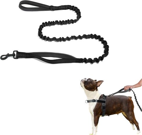 Shock-Absorbing Dog Leash for Medium/Large Breeds - Non-Slip Comfort Grip Handle, Anti-Pull Training Lead with Adjustable Slip Collar(4-5ft, Black) in Saudi Arabia