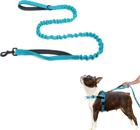Shock-Absorbing Dog Leash for Medium/Large Breeds - Non-Slip Comfort Grip Handle, Anti-Pull Training Lead with Adjustable Slip Collar(4-5ft, Black) in Saudi Arabia