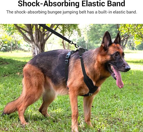 Shock-Absorbing Dog Leash for Medium/Large Breeds - Non-Slip Comfort Grip Handle, Anti-Pull Training Lead with Adjustable Slip Collar(4-5ft, Black) in Saudi Arabia