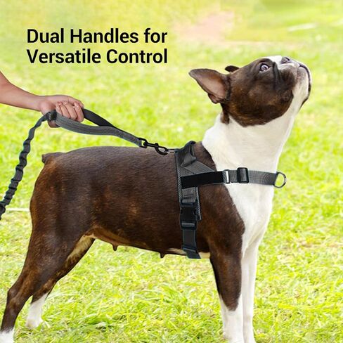 Shock-Absorbing Dog Leash for Medium/Large Breeds - Non-Slip Comfort Grip Handle, Anti-Pull Training Lead with Adjustable Slip Collar(4-5ft, Black) in Saudi Arabia