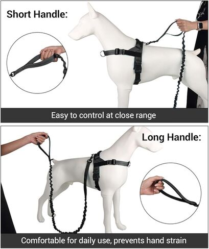 Shock-Absorbing Dog Leash for Medium/Large Breeds - Non-Slip Comfort Grip Handle, Anti-Pull Training Lead with Adjustable Slip Collar(4-5ft, Black) in Saudi Arabia