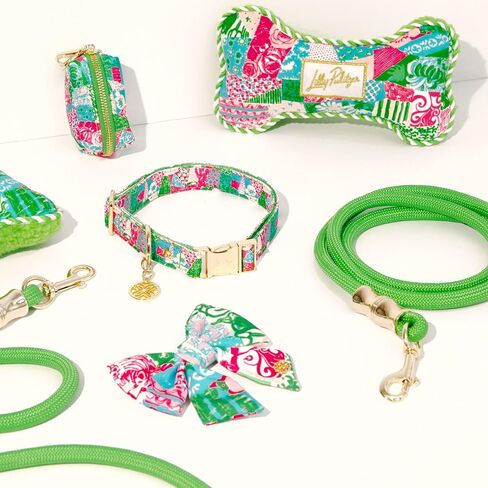 مقود حبل للكلاب من ليلي بوليتزر، مقود كلب شديد التحمل بطول 6 بوصات مع سحر ذهبي وشرابة منقوشة (منزل لحاف مجنون) in Kuwait