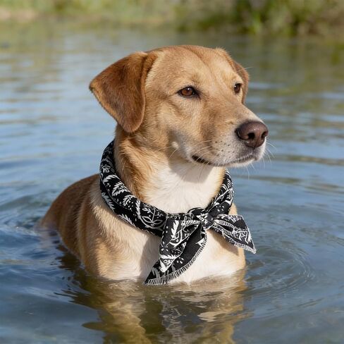 Pet Cooling Bandana, Ice Neck Wrap for Dogs & Cats, Summer Cooling Scarf for Hot Weather, for Small & Medium Pets，Red in Saudi Arabia