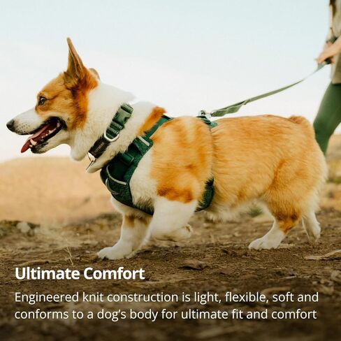 Ruffwear، طوق كلب مرن من الأمام، نسيج ناعم هندسي للمشي اليومي، خفيف الوزن قابل للتعديل بحلقة على شكل حرف D من الألومنيوم، كاتم صوت مدمج لبطاقة الهوية، مشبك سريع الفك، بنفسجي وردي، 35.56 سم - 50.8 سم in Kuwait