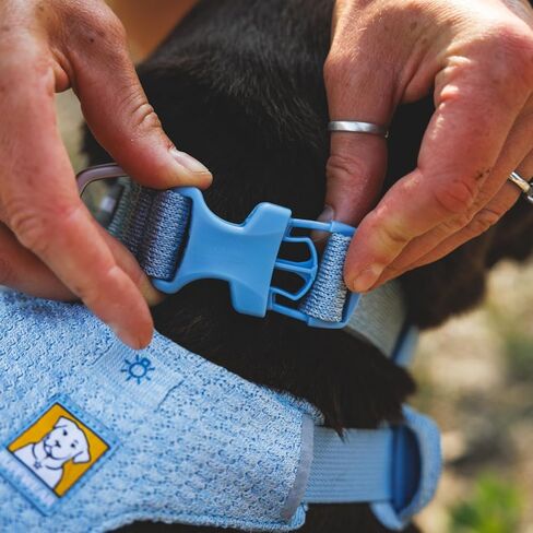 Ruffwear، طوق كلب مرن من الأمام، نسيج ناعم هندسي للمشي اليومي، خفيف الوزن قابل للتعديل بحلقة على شكل حرف D من الألومنيوم، كاتم صوت مدمج لبطاقة الهوية، مشبك سريع الفك، بنفسجي وردي، 35.56 سم - 50.8 سم in Kuwait