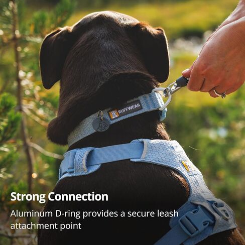 Ruffwear، طوق كلب مرن من الأمام، نسيج ناعم هندسي للمشي اليومي، خفيف الوزن قابل للتعديل بحلقة على شكل حرف D من الألومنيوم، كاتم صوت مدمج لبطاقة الهوية، مشبك سريع الفك، بنفسجي وردي، 35.56 سم - 50.8 سم in Kuwait
