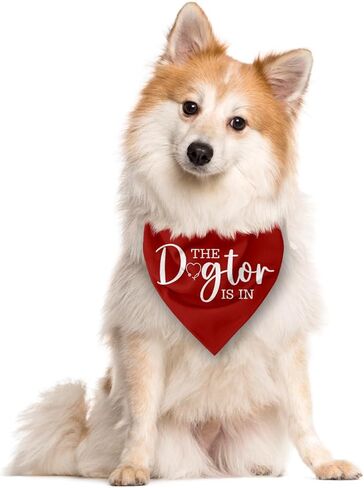 The Dogtor is in Dog Bandana, Funny Cute Therapy Dog Bandana, for Dogs Lovers, Pet Scarf Accessories for Small Medium Dogs Cats Photo Prop, Red Pet Triangle Scarf in Saudi Arabia