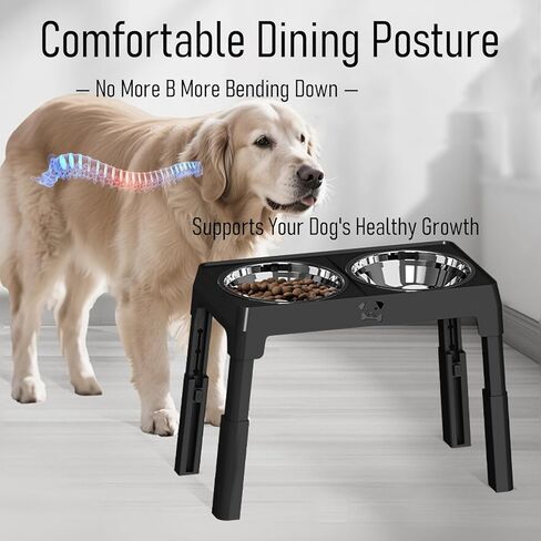 حامل أوعية مرتفعة للكلاب، ارتفاع 5 مستويات قابل للتعديل مع قطعتين من أوعية التغذية البطيئة من الفولاذ المقاوم للصدأ، محطة طعام ومياه للكلاب المرتفعة المضادة للانزلاق للحيوانات الأليفة الكبيرة والصغيرة، قابلة للطي للسفر in Kuwait