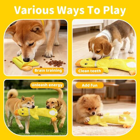 عبوتان من ألعاب شد الحبل التفاعلية القوية للكلاب الصغيرة، ألعاب ألغاز تفاعلية، تصدر صوتًا ومجعدًا، خالية من الحشو مع جيوب للمكافآت وجيب لزجاجة المياه، مثالية للكلاب الأليفة الصغيرة in Kuwait