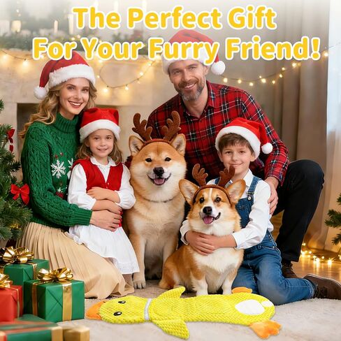 عبوتان من ألعاب شد الحبل التفاعلية القوية للكلاب الصغيرة، ألعاب ألغاز تفاعلية، تصدر صوتًا ومجعدًا، خالية من الحشو مع جيوب للمكافآت وجيب لزجاجة المياه، مثالية للكلاب الأليفة الصغيرة in Kuwait