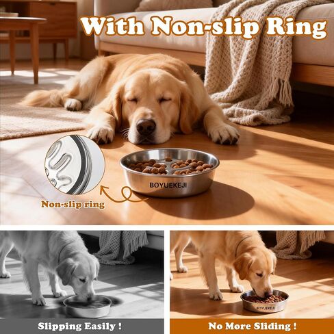 BOYUEKEJI Stainless Steel Slow Feeder Dog Bowl, 304 Grade MetalPet Food Bowl, Teddy Cat Design Insert, Healthy Feeding Solution for Dogs, Cats in Kuwait