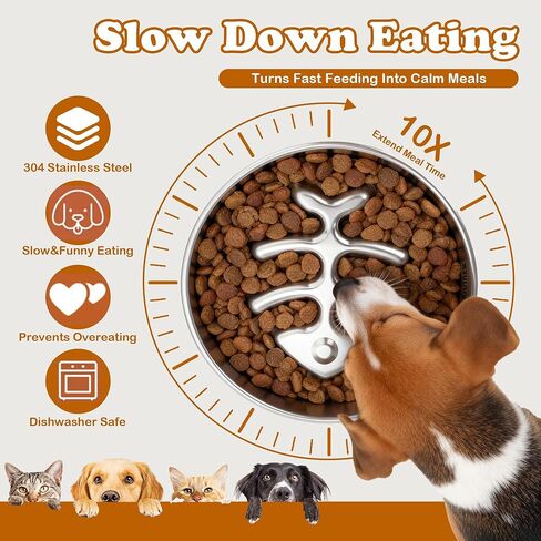 BOYUEKEJI Stainless Steel Slow Feeder Dog Bowl, 304 Grade MetalPet Food Bowl, Teddy Cat Design Insert, Healthy Feeding Solution for Dogs, Cats in Kuwait