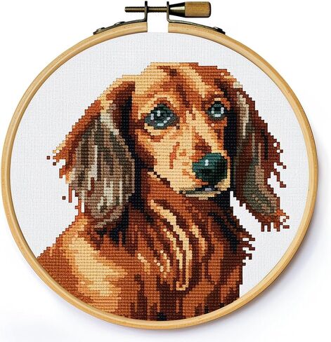 Dachshund Round Shape DIY Stamped Cross Stitch Kits for Beginners Easy with Hoop 11CT Needlepoint Embroidery Counted Cross Stitch Kits Art Craft Wall Decoration 35x35cm(3) in Saudi Arabia