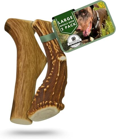 WhiteTail Naturals - Deer Antlers for Large Dogs (2 Pack- Jumbo XXL) All Natural Antler Dog Chew - Naturally Shed, Long Lasting Chew Bone, Crafted in USA in Kuwait
