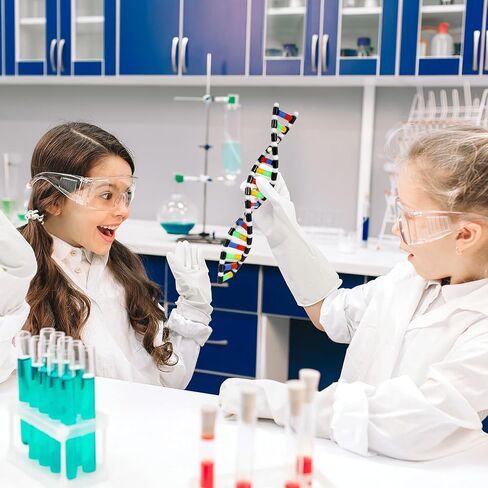 مجموعة نماذج IMIKEYA DNA، هيكل حلزوني مزدوج، لعبة تعليمية علمية، لوازم الفصول الدراسية لعلم الأحياء، متعددة الألوان، 15. 74 بوصة in Saudi Arabia