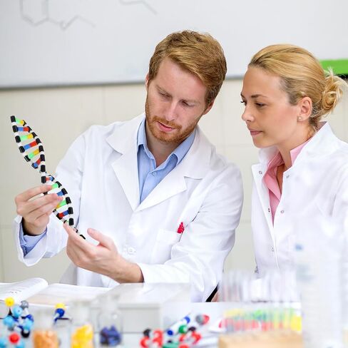 مجموعة نماذج IMIKEYA DNA، هيكل حلزوني مزدوج، لعبة تعليمية علمية، لوازم الفصول الدراسية لعلم الأحياء، متعددة الألوان، 15. 74 بوصة in Saudi Arabia