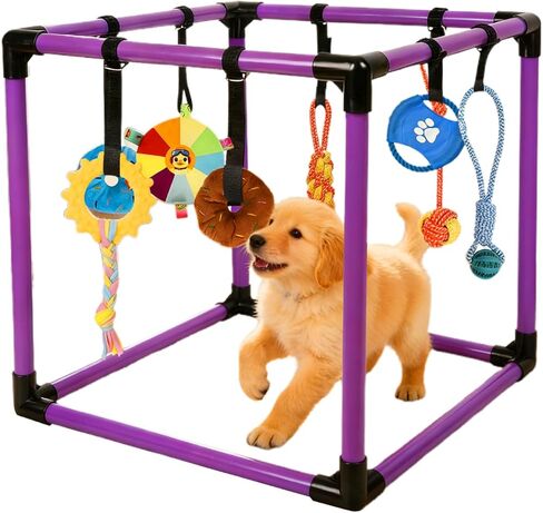 Puppy Play Gym, Small Dogs Indoor Jungle Gym, with 8 Hanging Interactive Funny Enrichment Toys, Puppy Toys to Keep Them Busy, PVC Frame with Bungee Straps (Purple) in Saudi Arabia