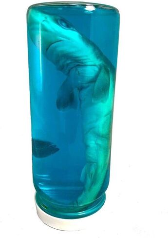 7-Inch Shark in a Bottle – Realistic Marine Biology Specimen for Classroom, Homeschool & STEM Learning – Ocean Life Display Model in Saudi Arabia
