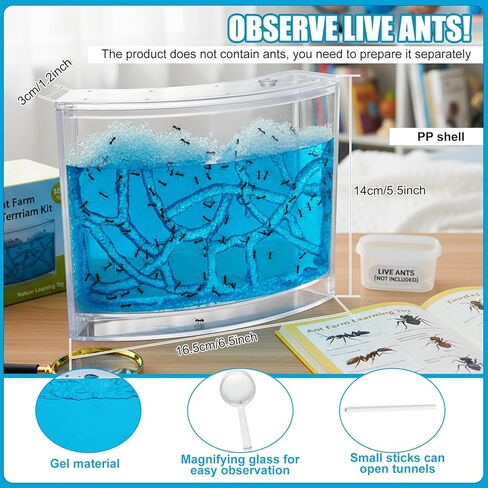 Ant Farm Terrarium Kit Giant Ant Farm Large Viewing Area Care for Live Ants Nature Learning DIY Kit Great Gift(Classic Style,Blue) in Kuwait