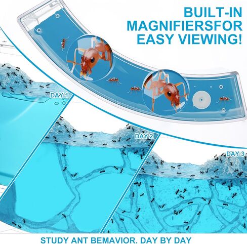 Ant Farm Terrarium Kit Giant Ant Farm Large Viewing Area Care for Live Ants Nature Learning DIY Kit Great Gift(Classic Style,Blue) in Kuwait