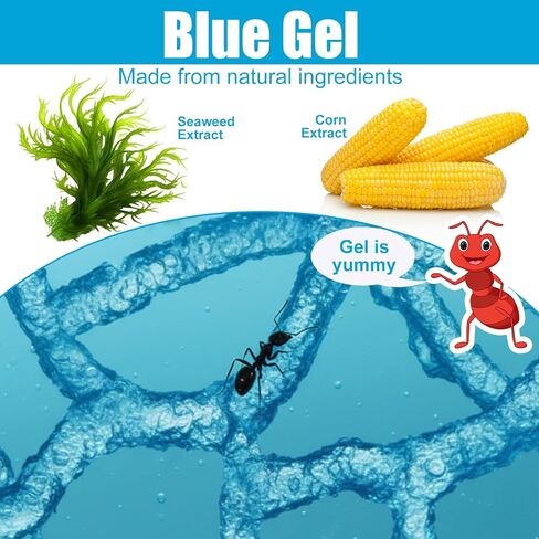 Ant Farm Terrarium Kit Giant Ant Farm Large Viewing Area Care for Live Ants Nature Learning DIY Kit Great Gift(Classic Style,Blue) in Kuwait