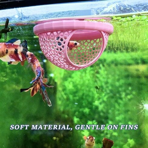 4 Pcs Fish Toys for Betta, Hammock Decorations with Aquarium Decor, Suitable for Fish Tank Accessories and Betta Hobbyists in Kuwait