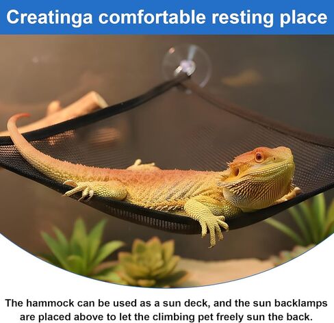 2Pcs Bearded Dragon Hammock, Breathable Mesh Reptile Hammock Lizard Tank Accessories, Triangle Geckos Hammocks for Bearded Dragons, Snakes, and Axolotls, Perfect Beard Dragon Tank Accessories（30x30x3 in Saudi Arabia