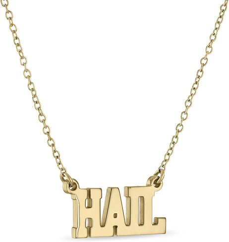 Stone Armory Michigan Wolverines Jewelry - 18K Gold Plated HAIL Necklace - Hypoallergenic and Adjustable 16-20in - University of Michigan Gifts for Women in Saudi Arabia
