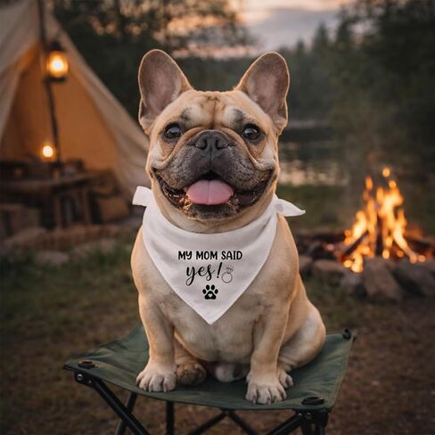 My Mom Said Yes Dog Bandana, White Wedding Pet Bandana, Engagement Dog Bandanas Photography Accessory, Pet Adjustable Triangle Scarf for Small Medium Dogs in Saudi Arabia