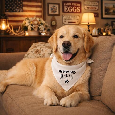My Mom Said Yes Dog Bandana, White Wedding Pet Bandana, Engagement Dog Bandanas Photography Accessory, Pet Adjustable Triangle Scarf for Small Medium Dogs in Saudi Arabia