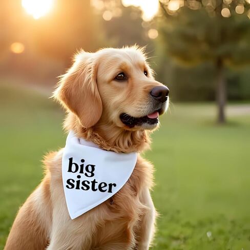 Big Sister Dog Bandana إعلان حمل الطفل، وشاح للحيوانات الأليفة، علامة بيضاء من القطن تكشف عن أجداد الزوج (كبير) in Kuwait