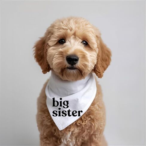 Big Sister Dog Bandana إعلان حمل الطفل، وشاح للحيوانات الأليفة، علامة بيضاء من القطن تكشف عن أجداد الزوج (كبير) in Kuwait