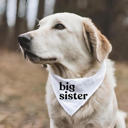 Big Sister Dog Bandana إعلان حمل الطفل، وشاح للحيوانات الأليفة، علامة بيضاء من القطن تكشف عن أجداد الزوج (كبير) in Kuwait