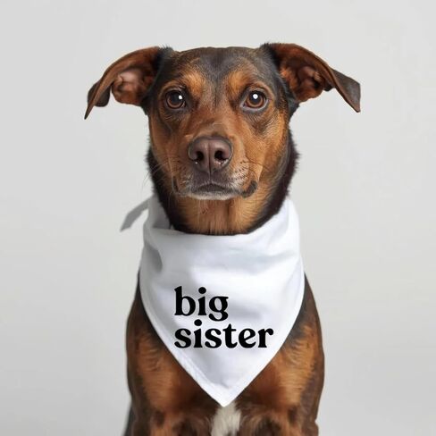 Big Sister Dog Bandana إعلان حمل الطفل، وشاح للحيوانات الأليفة، علامة بيضاء من القطن تكشف عن أجداد الزوج (كبير) in Kuwait
