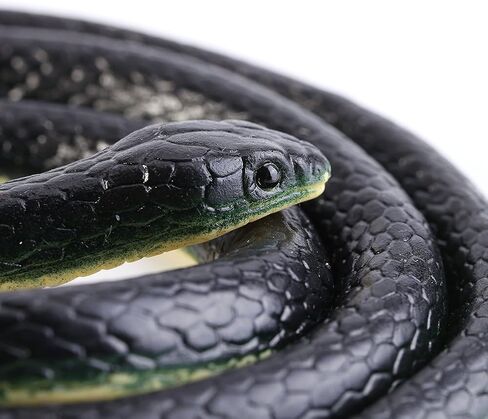 Fdit 4.3Ft Long Realistic Soft Rubber Snake Garden Props Funny Joke Prank Toy Gift Hot in Saudi Arabia