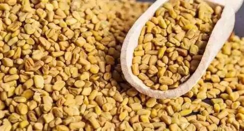 Fenugreek Seed Indian Cooking Spices/Nuts Certified 100% Organic Premium Quality from India in Saudi Arabia