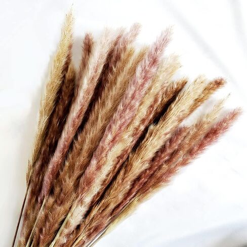 48" (4 FT) Length Pampas Grass 3 Stems - Tall Large Natural Dried Pampas for Flower Arrangements Wedding Boho Home Decor (Beige) in Kuwait