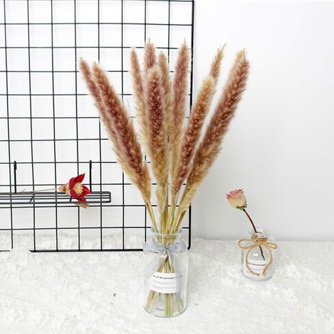 48" (4 FT) Length Pampas Grass 3 Stems - Tall Large Natural Dried Pampas for Flower Arrangements Wedding Boho Home Decor (Beige) in Kuwait