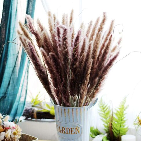 48" (4 FT) Length Pampas Grass 3 Stems - Tall Large Natural Dried Pampas for Flower Arrangements Wedding Boho Home Decor (Beige) in Kuwait